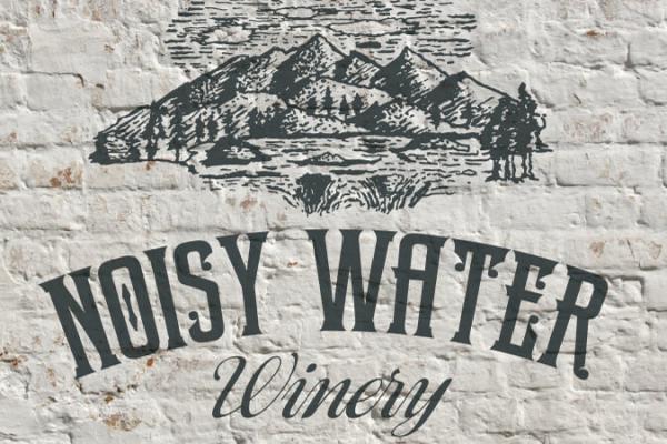 Noisy Water Logo