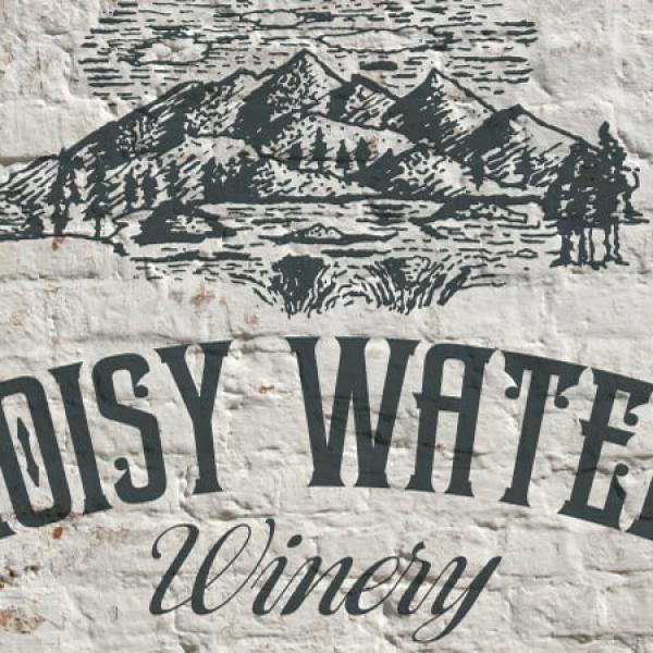 Noisy Water Logo